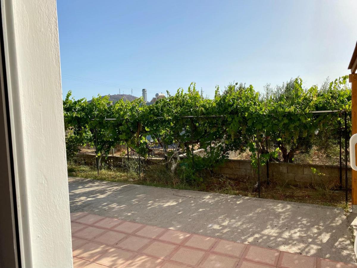 Family Friendly Apartment, In Nature, With Yard "5" Ziparion Exterior foto